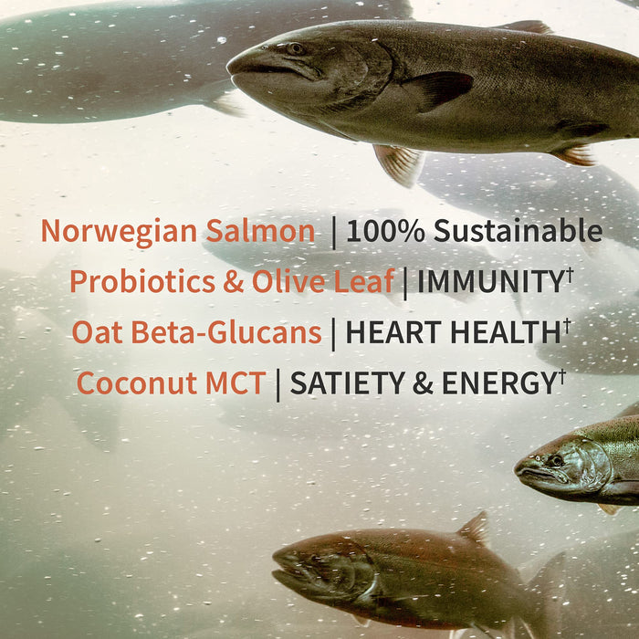 Garden of Life Dr. Formulated MD Protein Plant & Sustainable Salmon Powder, Rich Chocolate - 686g | High-Quality Plant Proteins | MySupplementShop.co.uk