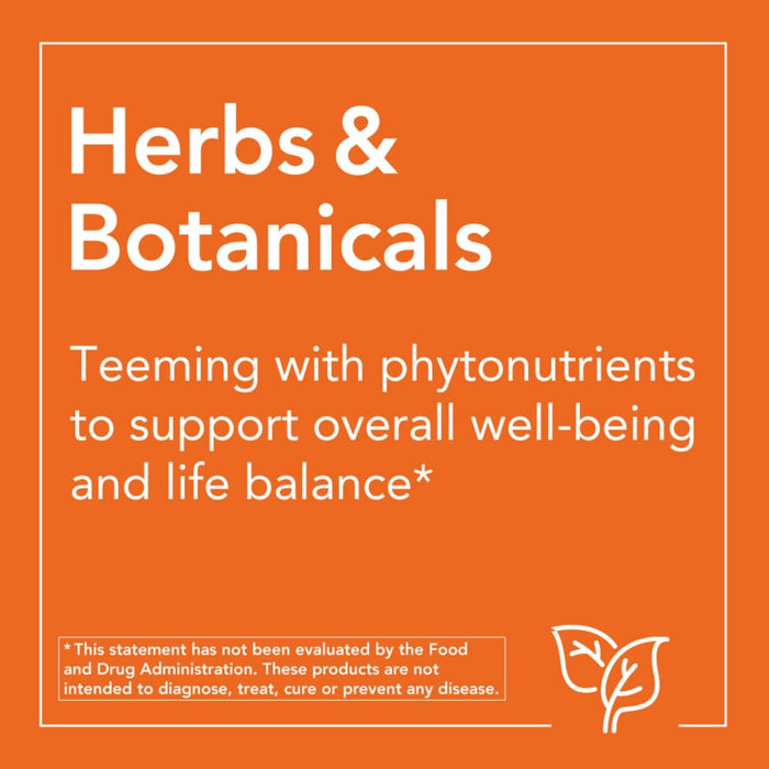 NOW Foods Chaste Berry Vitex Extract 300 mg 90 Veg Capsules - Health and Wellbeing at MySupplementShop by NOW Foods