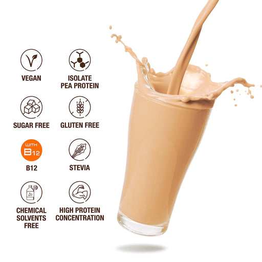 Weider Vegan Protein 750g - Pea Proteins at MySupplementShop by Weider