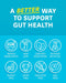 Zenwise Digestive Enzymes 180 caps - Digestive Enzyme at MySupplementShop by Zenwise