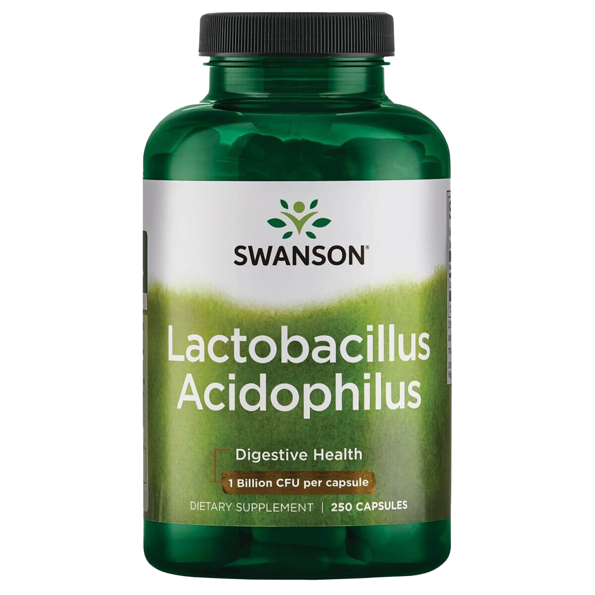 Acidophilus