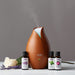 NOW Foods Essential Oil, Bottled Bouquet Oil Blend - 30 ml. - Health and Wellbeing at MySupplementShop by NOW Foods